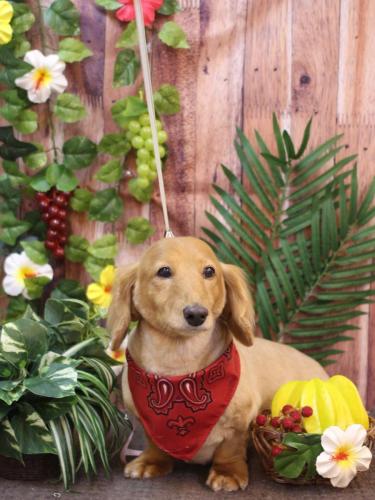 20230823レオンくん